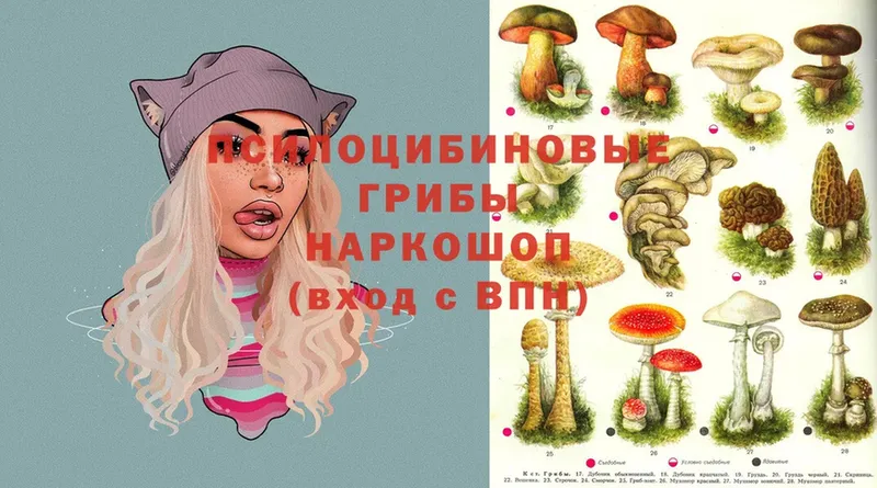 Псилоцибиновые грибы Magic Shrooms  Нальчик 